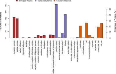 Proteomic and Metabolomic Analyses Provide Insights into the Mechanism on Arginine Metabolism Regulated by tRNA Modification Enzymes GidA and MnmE of Streptococcus suis